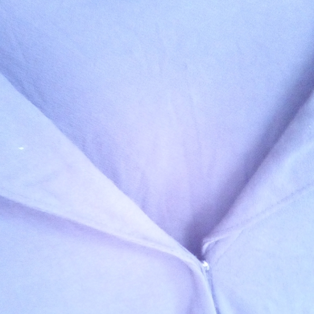 Chic Women's Purple Blouse